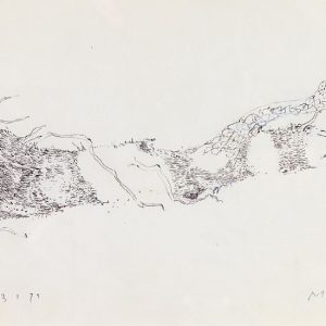 1973: Motivo vegetale | Bleistift auf Papier (20,5 x 29 cm)