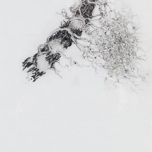 1973: Motivo vegetale | Bleistift auf Papier (29,1 x 20,5 cm)