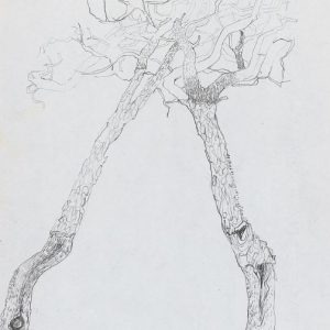1973: Motivo vegetale | Bleistift auf Papier (29,7 x 20,8 cm)