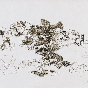 1979: Felslandschaft | Tusche auf Papier (19,6 x 29,5 cm)